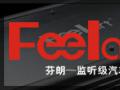 芬朗监听级汽车音响
